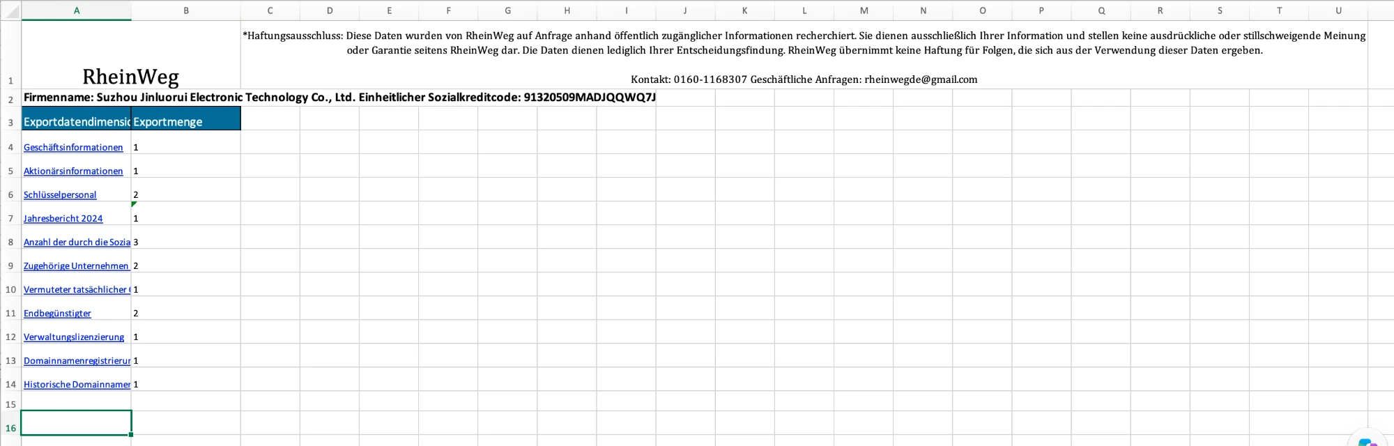 Beispielbericht: Unternehmensprofil in Excel